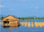Vietnam au fil de l'eau /  Le voyage de Marguerite / Vietnam