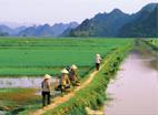 Circuit Vietnam Buissonnier / Tonkin Secret / Vietnam
