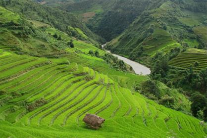 Vacances dans le Nord Tonkin / Vietnam