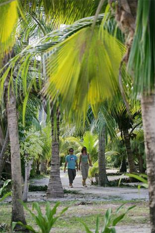 Voyages de Noces en Guadeloupe