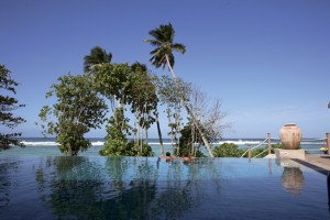 12-allamanda-pool1