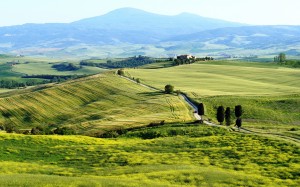 445922_italy_penca_toscana_toskana_italiya_pienza_2560x1600_(www.GdeFon.ru)