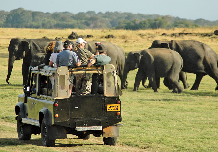 JeepsafariinMinneriyaNationalPark Voyages