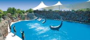 Loro-Parque-Tenerife10