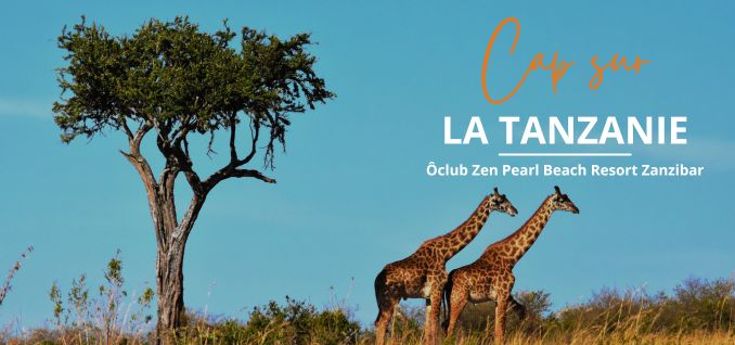 Voyage Tanzanie - Ôclub Zen Pearl Beach Resort Zanzibar - Paiement en 10 fois - Magiclub