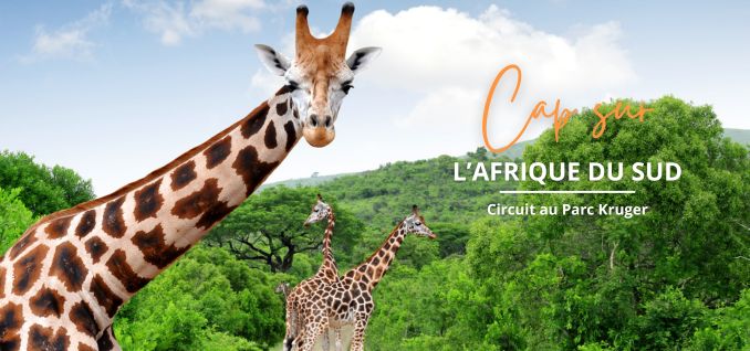 Voyage au Parc Kruger - Paiement en plusieurs fois