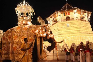 kandy_perahera