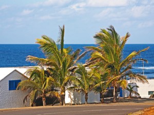 merveilles_des_canaries___fuerteventura_et_lanzarote_6