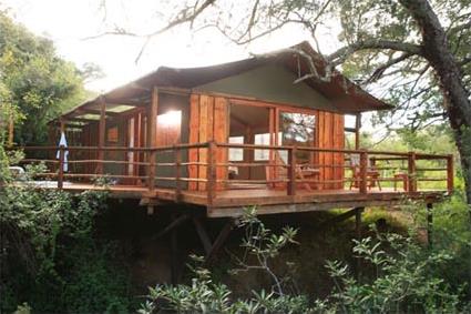 Addo Elphant Back Safaris & Lodge 4 **** / Addo Elphant National Park / Afrique du Sud
