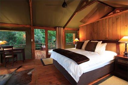 Addo Elphant Back Safaris & Lodge 4 **** / Addo Elphant National Park / Afrique du Sud
