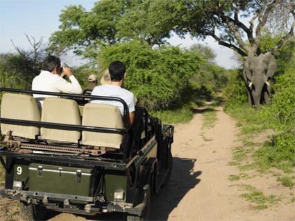 Autotour De savane africaine en plages mauriciennes / Afrique du Sud