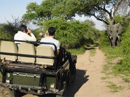 Autotour Du Cap au Parc Kruger / 10 Jours - 7 Nuits / Afrique du Sud