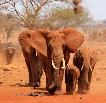 Autotour Sensations australes / Afrique du Sud