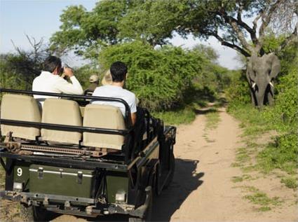 Autotour Sun City et Madikwe / Merveilles Essentielles / Afrique du Sud