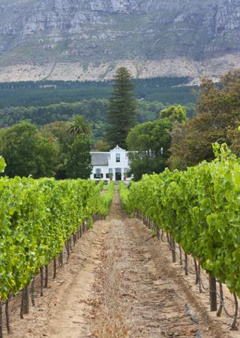 Autotour Sur la Route des Vins / Merveilles Essentielles / Afrique du Sud