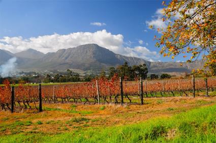 Autotour Sur la Route des Vins / Merveilles Essentielles / Afrique du Sud