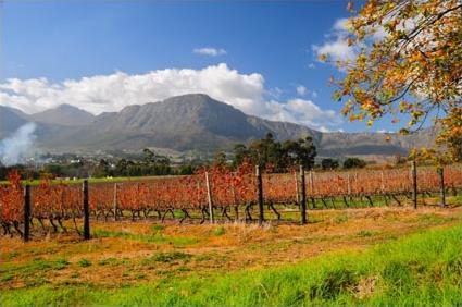 Circuit Du Cap au Kruger / Afrique du Sud