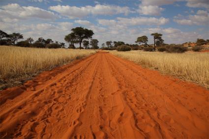 Circuit Extension Northern Cape / Afrique du Sud