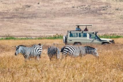 Circuit Incontournable Paysages Sud-Africains / Afrique du Sud