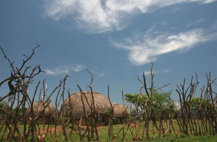 Circuit Incontournable Paysages Sud-Africains / Afrique du Sud