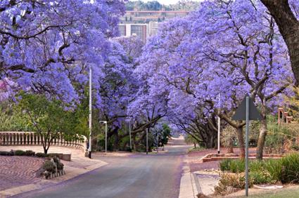 Circuit Patchwork Sud-Africain / Afrique du Sud