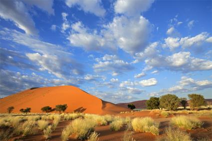 Circuit Valse Australe / Afrique du Sud