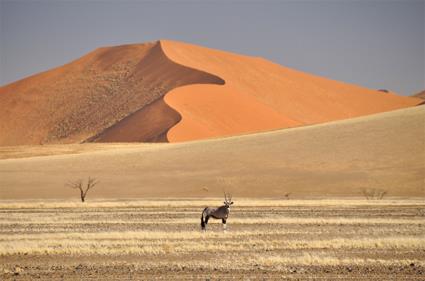 Circuit Valse Australe / Afrique du Sud