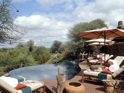 Makanyane Safari Lodge 5 ***** / La Rserve de Madikwe / Afrique du Sud