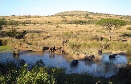 Thula Thula Private Game Reserve 4 **** /  Au Sud de HluHluwe / Afrique du Sud