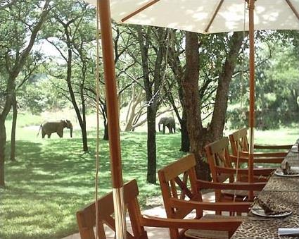 Thula Thula Private Game Reserve 4 **** /  Au Sud de HluHluwe / Afrique du Sud