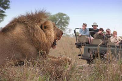 Lodge Idube 4 **** / Les Rserves Prives du Sabi Sand / Afrique du Sud