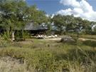 Lodge Jackalberry 4 **** / Les Rserves Prives du Timbavati / Afrique du Sud