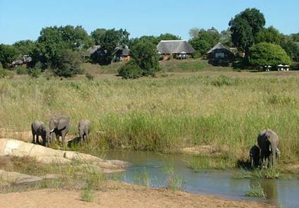 Lodge Mala Mala 5 ***** / Les Rserves Prives du Sabi Sand / Afrique du Sud