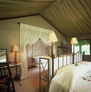 Lodge Tanda Tula 4 **** / Les Rserves Prives du Timbavati / Afrique du Sud