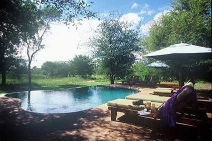 Lodge Tanda Tula 4 **** / Les Rserves Prives du Timbavati / Afrique du Sud