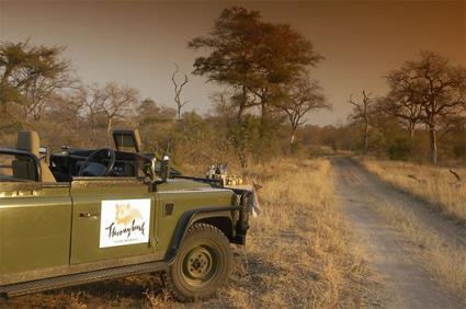 Thornybush Main Lodge 5 ***** / Rserve de Thornybush / Afrique du Sud