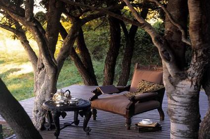 Ngala Game Lodge 5 ***** / Les Rserves Prives du Timbavati / Afrique du Sud