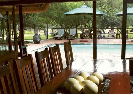 Serondella Game Lodge 4 **** / Rserve de Thornybush / Afrique du Sud