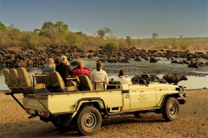 Tintswalo Safari Lodge 4 **** / Rserve de Manyeleti / Afrique du Sud