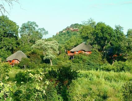 Autotour Du Cap au Parc Kruger / Merveilles Essentielles / Afrique du Sud