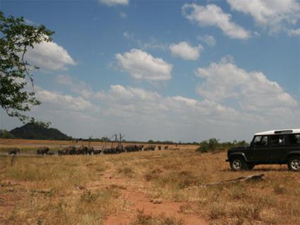 Mopaya Safari Lodge 4 **** / Rserve Prive de Mopaya / Autour du Parc Kruger