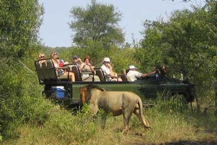 Mopaya Safari Lodge 4 **** / Rserve Prive de Mopaya / Autour du Parc Kruger