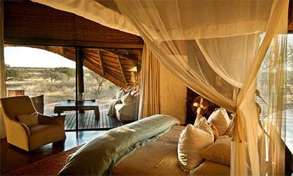 The Motse Lodge 5 ***** /  Tswalu / Afrique du Sud