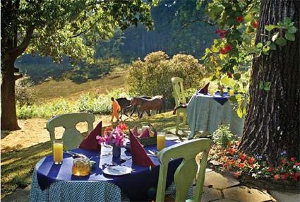 Hotel Foresters Arms 3 *** / Mkhaya Game Reserve / Royaume du Swaziland / Afrique du Sud