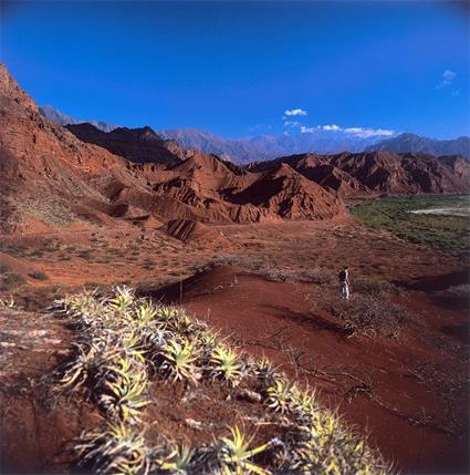 Argentine Circuit Autotour - Cactus & Canyons Multicolores