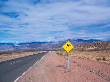 Argentine Circuit Autotour - La Marche des Pingouins