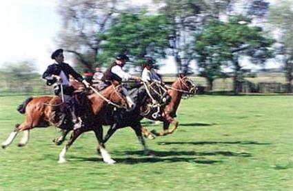 Argentine Mini Circuit au Dpart de Buenos Aires - Estancia Ombu de Areco