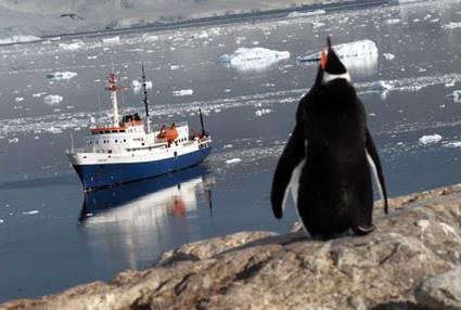 Croisire Argentine - Croisire Antarctique