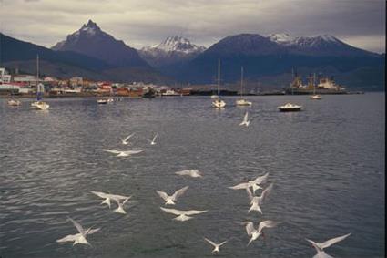 Croisire Argentine - Croisire Antarctique