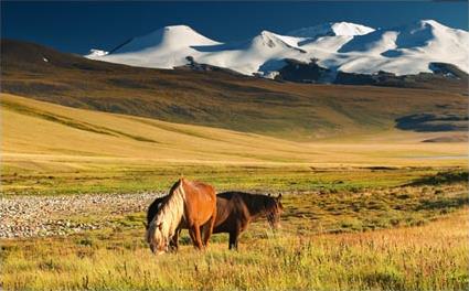 Les Circuits en Asie centrale / Sources chaudes & dsert de Gobi / Mongolie